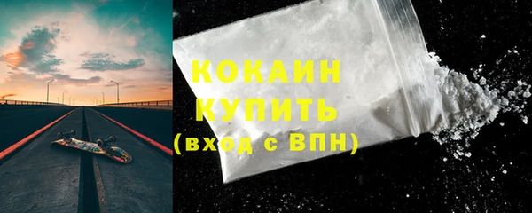 шишки Абаза