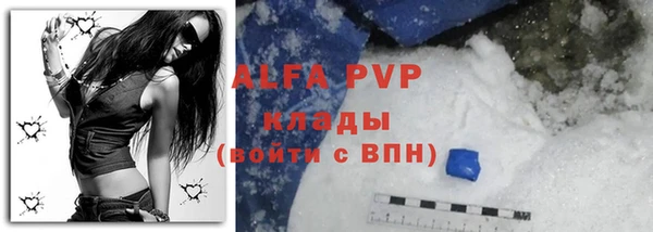 шишки Абаза