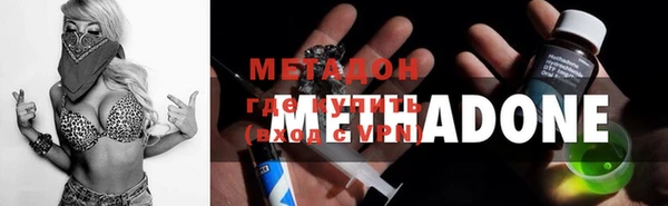 шишки Абаза