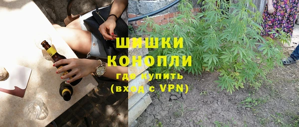 ГАЛЛЮЦИНОГЕННЫЕ ГРИБЫ Абдулино