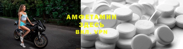 шишки Абаза