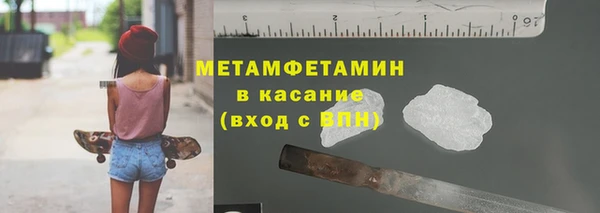 шишки Абаза