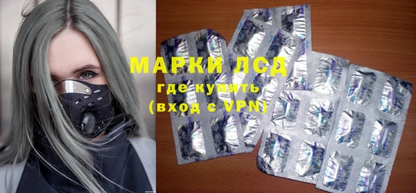 шишки Абаза