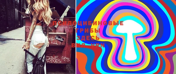 ГАЛЛЮЦИНОГЕННЫЕ ГРИБЫ Абдулино