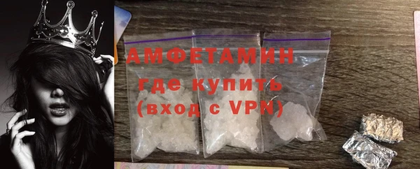 шишки Абаза