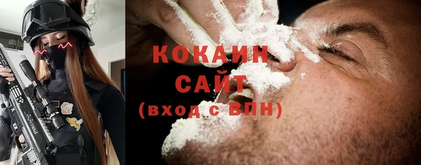 шишки Абаза